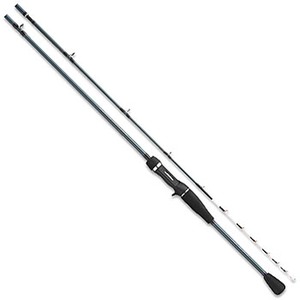 ダイワ（Daiwa） リーディングX カレイ 165