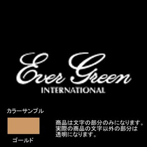 エバーグリーン（EVERGREEN） エバーグリーンボートディカルステッカー L ゴールド