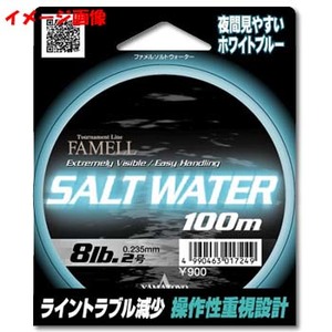 ヤマトヨテグス（YAMATOYO） ファメル ソルトウォーター 100m 2.5lb ホワイトブルー