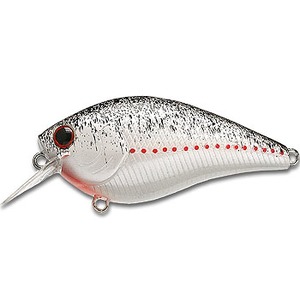 ラッキークラフトUSA バスプロショップス リック クラン クランクベイト  RC0.5 400 WHITE SHAD