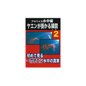 がまかつ（Gamakatsu） DVDアオリイカ ヤエンが掛かる瞬間2水中編