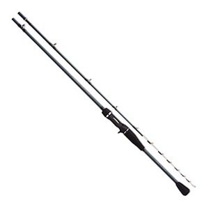 ダイワ（Daiwa） リーディングX カレイ 165H