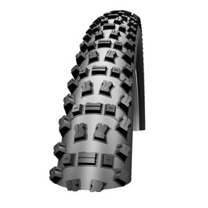 SCHWALBE（シュワルベ） ファットアルバート（フロント） 26×2.25 Black