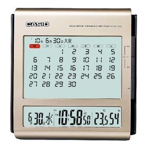 カシオ （CASIO） IDC-110J-8JF チタニウムシルバー