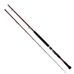 ダイワ（Daiwa） 剣崎 250SP-240