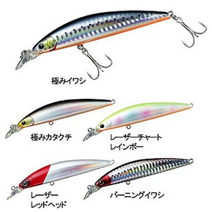 ダイワ（Daiwa） ショアラインシャイナー カレントマスター 9S GLR・H