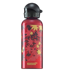 SIGG（シグ） トラベラーファッション0.6L 0.6L レッドリーブス