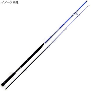 ダイワ（Daiwa） ソルティスト ST-SJ96H