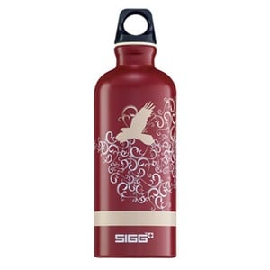 SIGG（シグ） トラベラーファッション 0.6L ザ・フライト