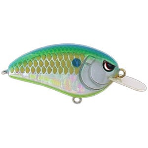 SPRO リトルジョン CITRUS SHAD