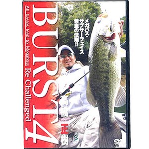 アピス BURST4（バースト4） DVD120分