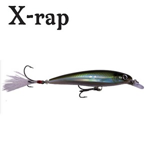 Rapala（ラパラ） XRSS10 X-RAP SC Hooks Special 10cm MBS（モスバック・シャイナー）