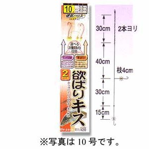 がまかつ（Gamakatsu） 欲ばりキス2本 ケン付流線・早がけ 鈎8／ハリス1