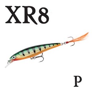 Rapala（ラパラ） XR8 X-RAP 8cm P（パーチ）