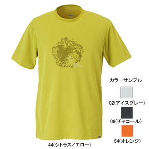 ミズノ（MIZUNO） ドライベクター・プリントTシャツ Men's L 02（アイスグレー）