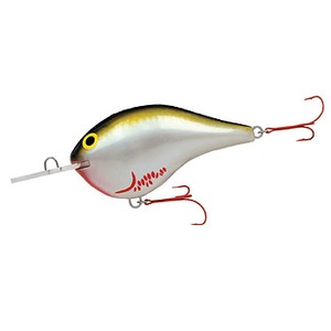 Rapala（ラパラ） Rapara Giant Lure RGDT-BOS