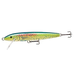 Rapala（ラパラ） Rapara Giant Lure GIANT LURE D