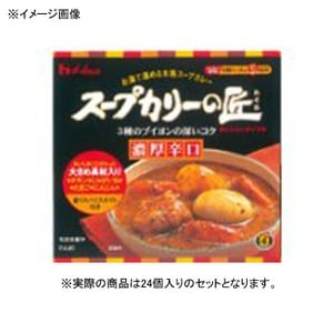 ハウス食品 スープカリーの匠 レトルトタイプ 濃厚辛口 【1ケース （370g×24個）】