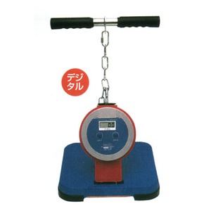 秦運動具工業 （HATAS） デジタルタイプ バックD 20-300kg