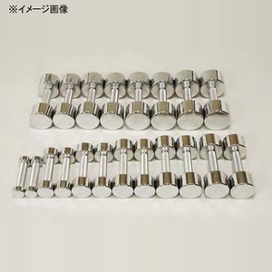 中旺ヘルス クロームダンベル 1kg×2個