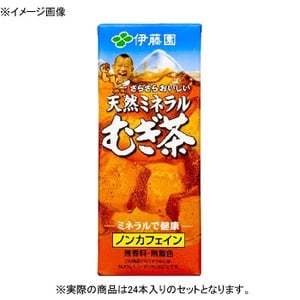 伊藤園 天然ミネラルむぎ茶 紙パック 【1ケース （250ml×24本）】