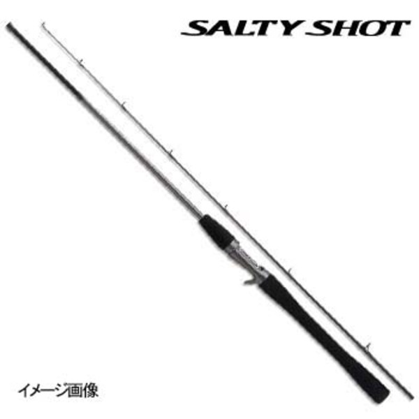 シマノ(SHIMANO) ソルティーショット B606L 329691 ベイトキャスティング