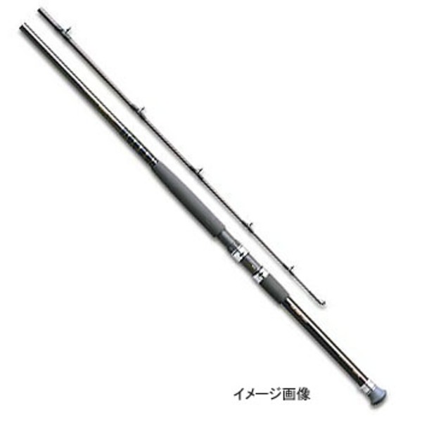 ダイワ(Daiwa) シーバード-V 80/120号-300V 05285397｜アウトドア用品