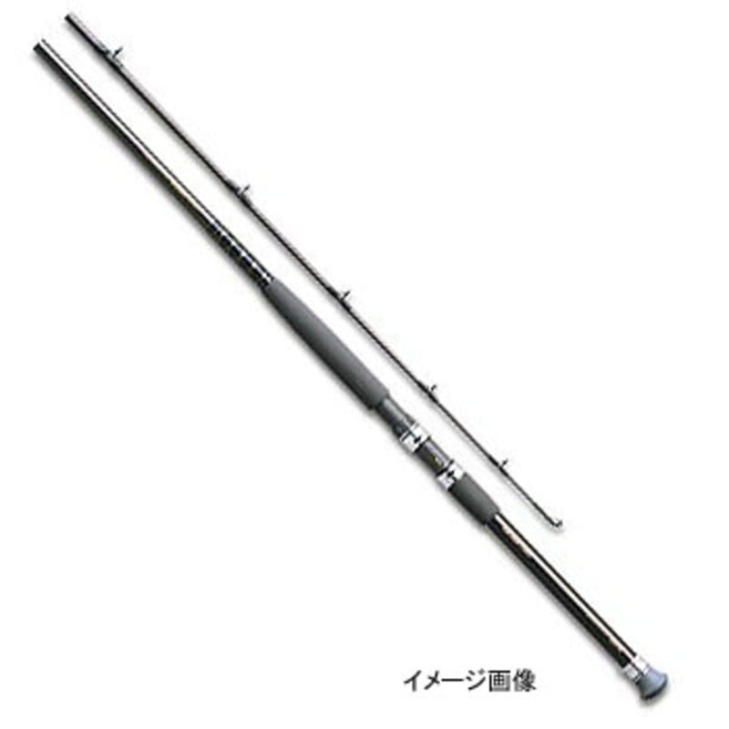 ダイワ(Daiwa) シーバード-V 80/120号-300V 05285397｜アウトドア用品・釣り具通販はナチュラム