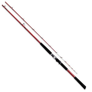 ダイワ(Daiwa) 極鋭ギア 50号-210 05290021｜アウトドア用品・釣り具通販はナチュラム