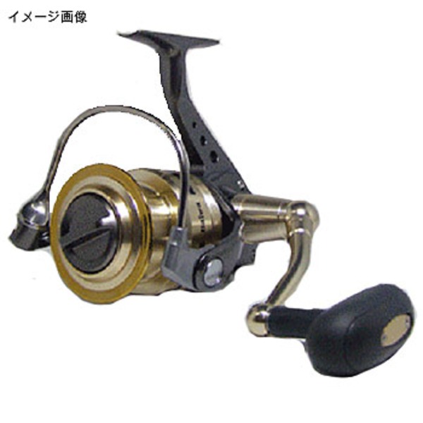 ダイワ(Daiwa) キャタリナ 4000H 00058308