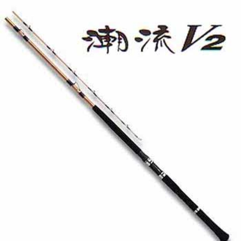 ダイワ(Daiwa) 潮流V2 50-270 05288785｜アウトドア用品・釣り具