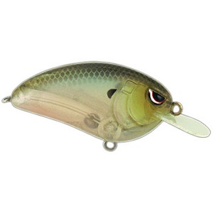 ＳＰＲＯ リトルジョン ＳＰＯＯＫＹ ＳＨＡＤ