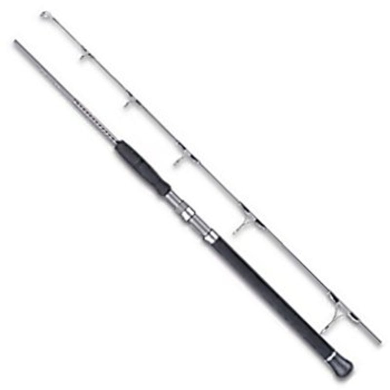 ダイワ(Daiwa) キャタリナスティック CS59S-2 01471413｜アウトドア用品・釣り具通販はナチュラム