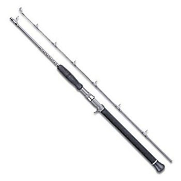 ダイワ(Daiwa) キャタリナスティック CS510B-4/5 01471398｜アウトドア用品・釣り具通販はナチュラム