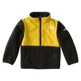 THE NORTH FACE(ザ･ノース･フェイス) DENALI FLEECE JK(デナリ フリース ジャケット) Kid’s NAJ71881 防寒ジャケット(キッズ/ベビー)