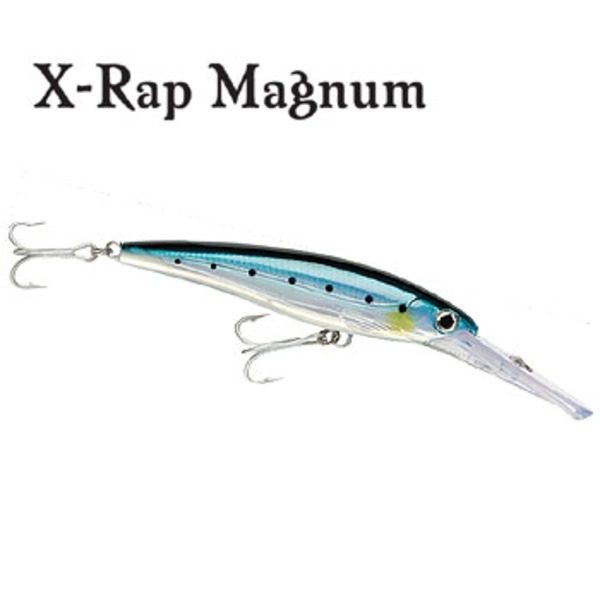 Rapala(ラパラ) XRMAG15 X-RAP XRMAG15 ミノー(リップ付き)