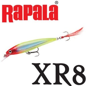 Rapala(ラパラ) XR8 X-RAP XR8