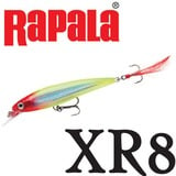 Rapala(ラパラ) XR8 X-RAP XR8 ミノー(リップ付き)