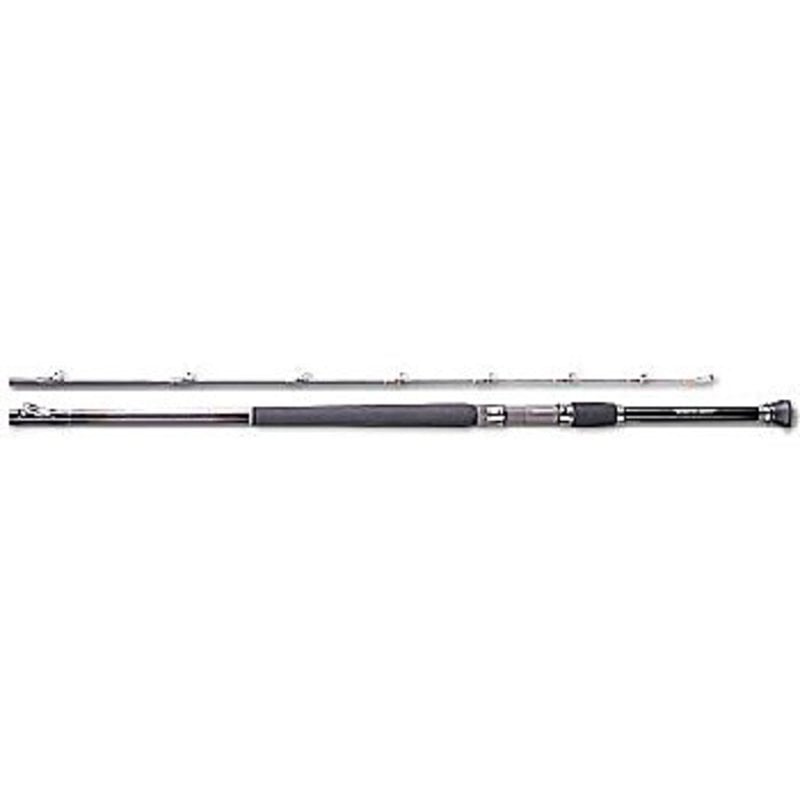 ダイワ(Daiwa) HZ 剣崎アキアジスペシャル 310V 05282024｜アウトドア用品・釣り具通販はナチュラム