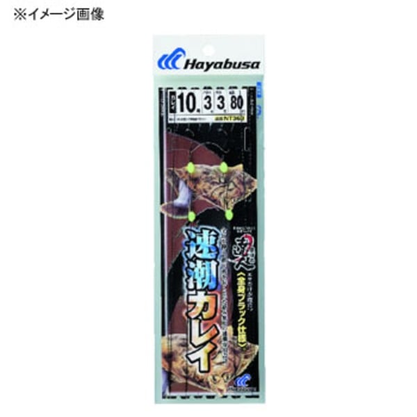 ハヤブサ(Hayabusa) 投げの達人 速潮カレイ 全身ブラック NT363 仕掛け