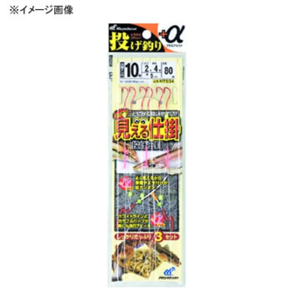 ハヤブサ(Hayabusa) 投げ釣り+α ハッキリ見える仕掛2本鈎×3 NT534 仕掛け