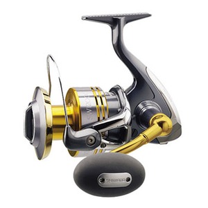 シマノ(SHIMANO) ツインパワーSW 12000XG 027948