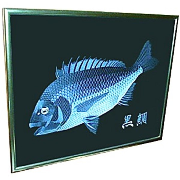 魚拓刺繍 Gyotack-Emb KURODAI ギョタックエンブ黒鯛 gyoku001 ルアー用フィッシングツール