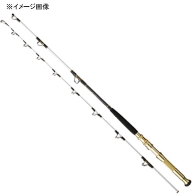 ダイワ(DAIWA) 船竿 ディープゾーン 73調子 120-210 釣り竿