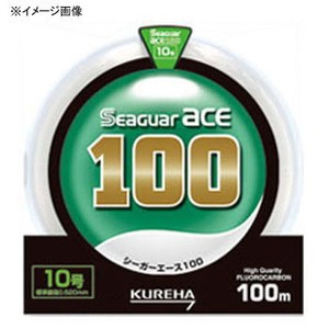 クレハ(KUREHA) シーガーエース １００ｍ 単品 １号 クリア NA1001