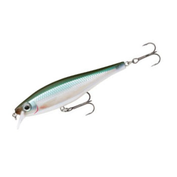 Rapala(ラパラ) BX Minnow(ビーエックスミノー) BXM10-BBH ミノー