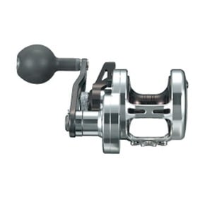 ダイワ(Daiwa) キャタリナLD 20SH-T 00607214｜アウトドア用品・釣り具