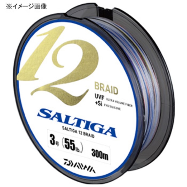 ダイワ(Daiwa) ソルティガ 12ブレイド 300m 04625997｜アウトドア用品 ...