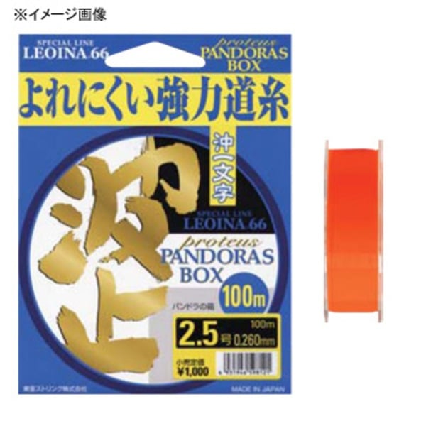 RAIGLON(レグロン) 波止 沖一文字 100m   道糸100m以下