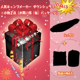 ナチュラム 人気キャンプメーカー ダウンシュラフ+小物2点【お買い得(秘)パッケージ】   ウインター用